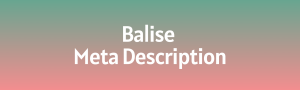 Lire la suite à propos de l’article Guide du SEO : La balise meta description